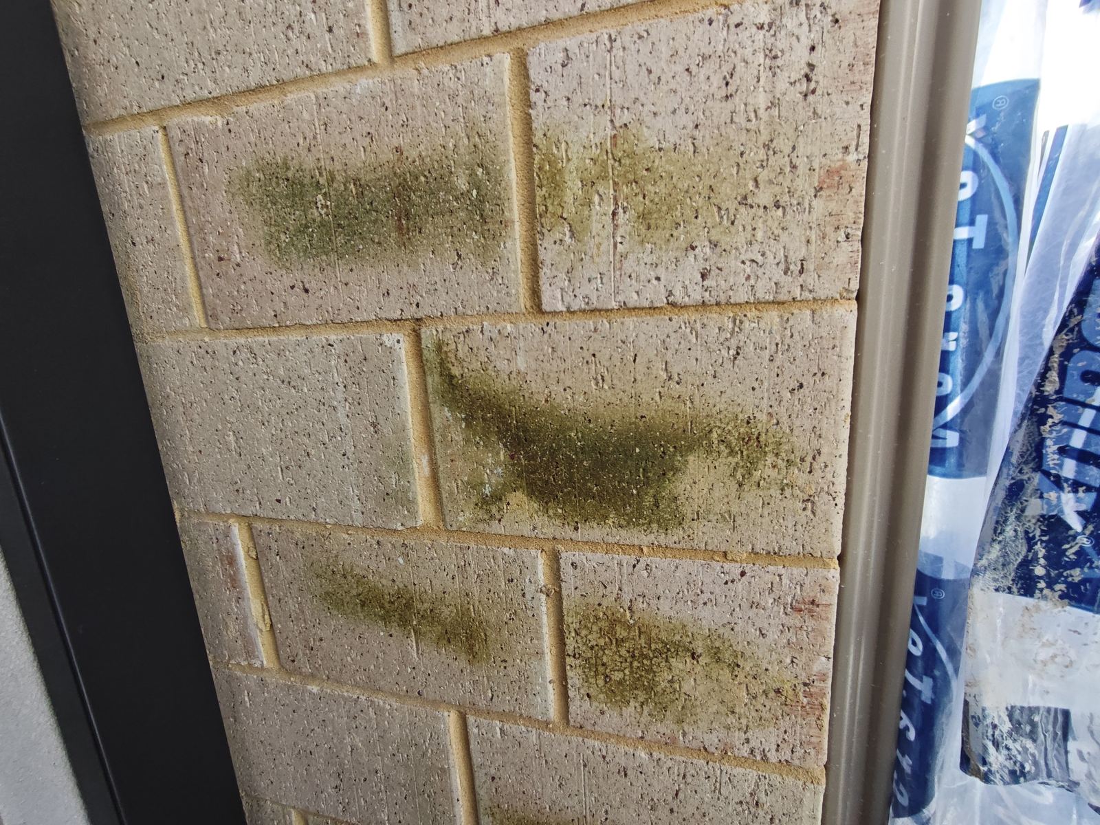 Efflorescence salt staining on new brickwork