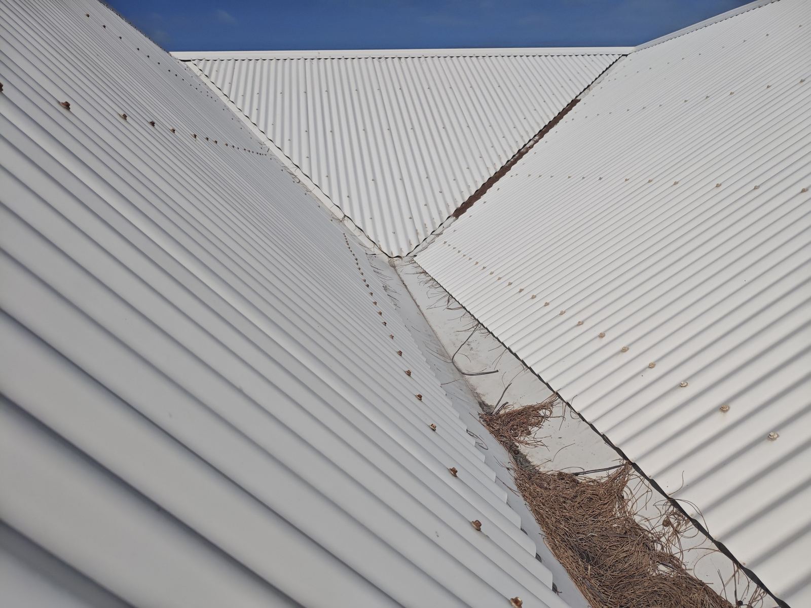 Roof and gutter condition documented during a dilapidation survey