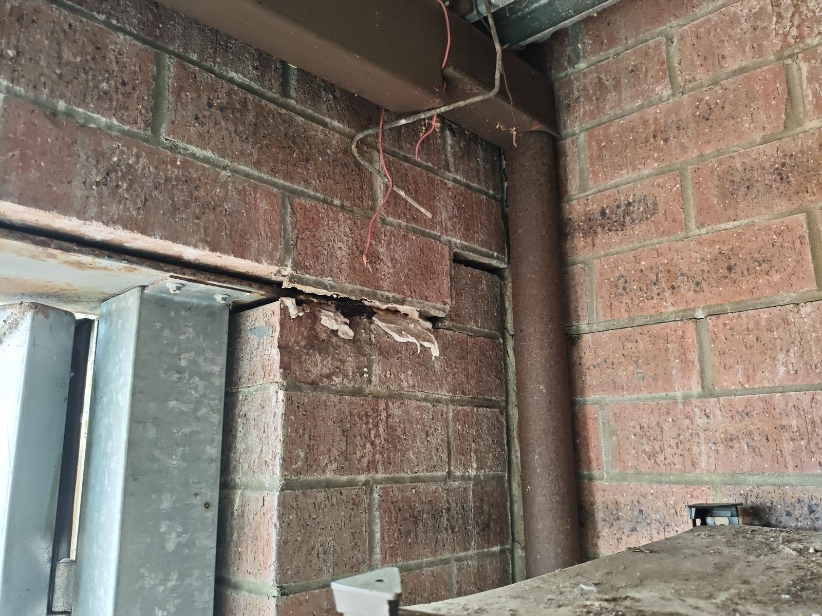 Timber pest damage found in brickwork during a Perth building inspection